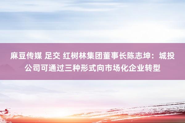 麻豆传媒 足交 红树林集团董事长陈志坤：城投公司可通过三种形式向市场化企业转型