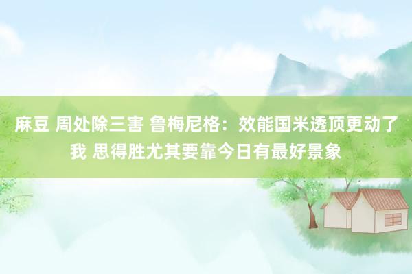 麻豆 周处除三害 鲁梅尼格：效能国米透顶更动了我 思得胜尤其要靠今日有最好景象