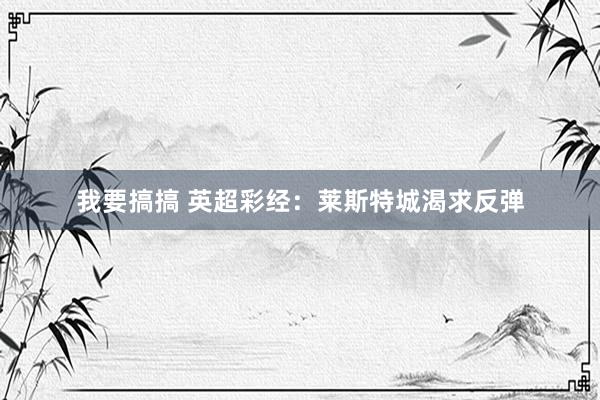 我要搞搞 英超彩经：莱斯特城渴求反弹