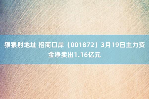 狠狠射地址 招商口岸（001872）3月19日主力资金净卖出1.16亿元