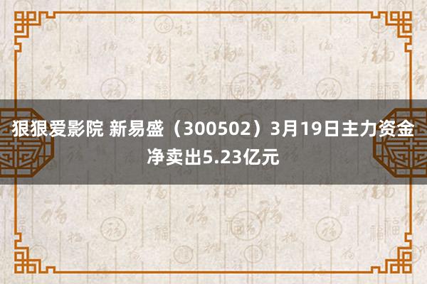 狠狠爱影院 新易盛（300502）3月19日主力资金净卖出5.23亿元