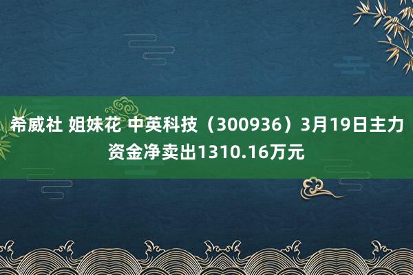 希威社 姐妹花 中英科技（300936）3月19日主力资金净卖出1310.16万元