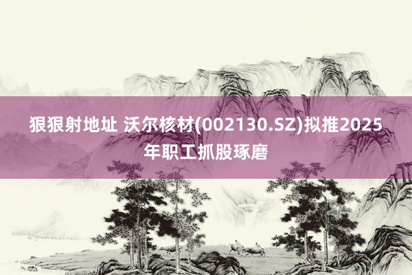 狠狠射地址 沃尔核材(002130.SZ)拟推2025年职工抓股琢磨