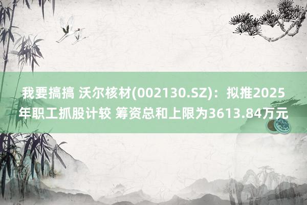 我要搞搞 沃尔核材(002130.SZ)：拟推2025年职工抓股计较 筹资总和上限为3613.84万元