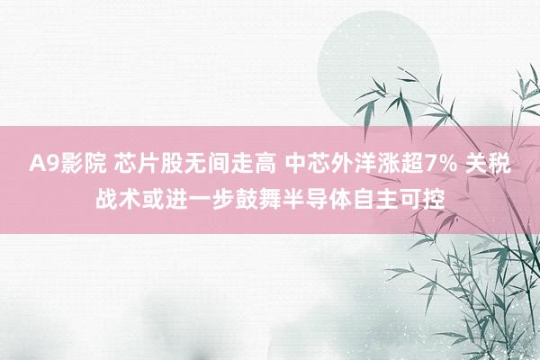 A9影院 芯片股无间走高 中芯外洋涨超7% 关税战术或进一步鼓舞半导体自主可控