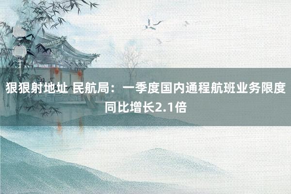 狠狠射地址 民航局：一季度国内通程航班业务限度同比增长2.1倍