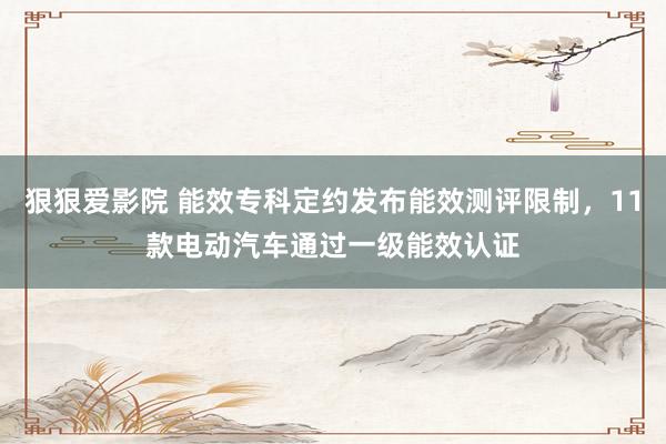 狠狠爱影院 能效专科定约发布能效测评限制，11款电动汽车通过一级能效认证