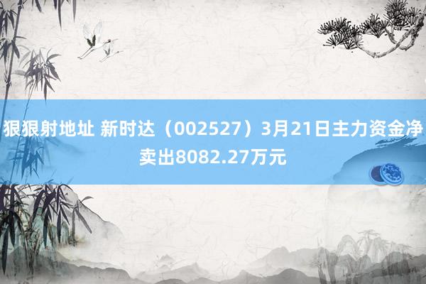 狠狠射地址 新时达（002527）3月21日主力资金净卖出8082.27万元