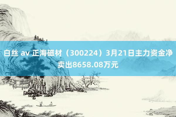 白丝 av 正海磁材（300224）3月21日主力资金净卖出8658.08万元