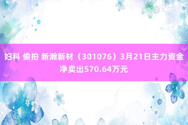 妇科 偷拍 新瀚新材（301076）3月21日主力资金净卖出570.64万元