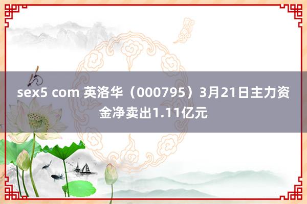 sex5 com 英洛华（000795）3月21日主力资金净卖出1.11亿元
