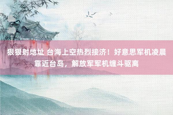 狠狠射地址 台海上空热烈接济！好意思军机凌晨靠近台岛，解放军军机缠斗驱离