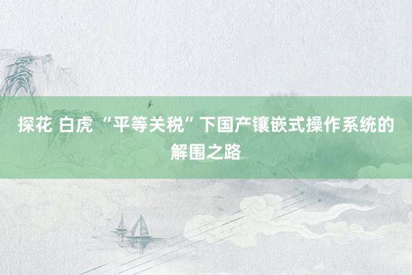 探花 白虎 “平等关税”下国产镶嵌式操作系统的解围之路