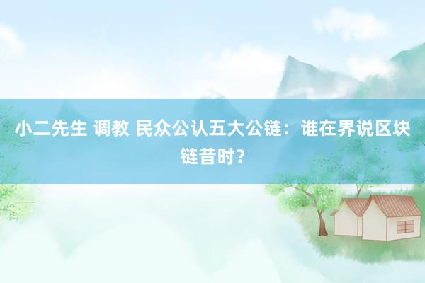 小二先生 调教 民众公认五大公链：谁在界说区块链昔时？