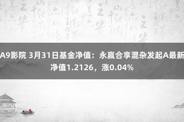 A9影院 3月31日基金净值：永赢合享混杂发起A最新净值1.2126，涨0.04%