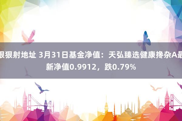 狠狠射地址 3月31日基金净值：天弘臻选健康搀杂A最新净值0.9912，跌0.79%
