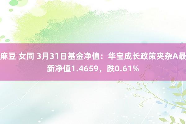 麻豆 女同 3月31日基金净值：华宝成长政策夹杂A最新净值1.4659，跌0.61%