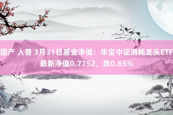 国产 人兽 3月31日基金净值：华宝中证消耗龙头ETF最新净值0.7752，跌0.65%