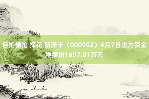 自拍偷拍 探花 新洋丰（000902）4月7日主力资金净卖出1697.01万元