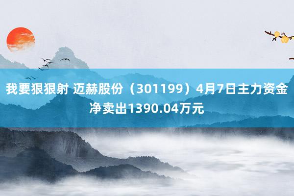 我要狠狠射 迈赫股份（301199）4月7日主力资金净卖出1390.04万元