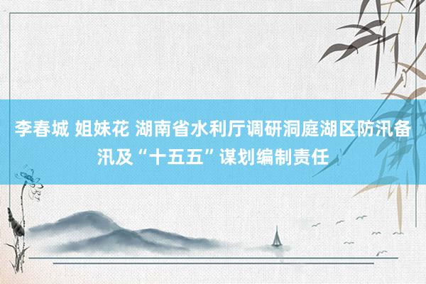 李春城 姐妹花 湖南省水利厅调研洞庭湖区防汛备汛及“十五五”谋划编制责任