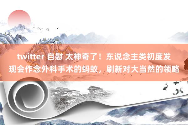twitter 自慰 太神奇了！东说念主类初度发现会作念外科手术的蚂蚁，刷新对大当然的领略