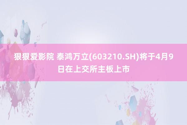 狠狠爱影院 泰鸿万立(603210.SH)将于4月9日在上交所主板上市