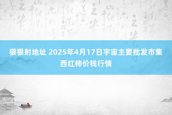 狠狠射地址 2025年4月17日宇宙主要批发市集西红柿价钱行情