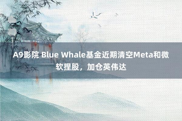 A9影院 Blue Whale基金近期清空Meta和微软捏股，加仓英伟达