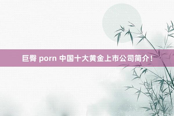 巨臀 porn 中国十大黄金上市公司简介！