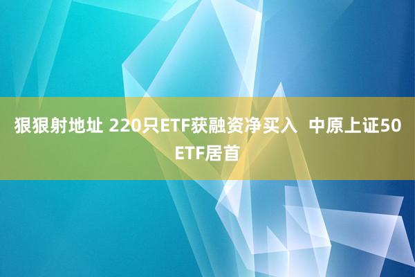 狠狠射地址 220只ETF获融资净买入  中原上证50ETF居首