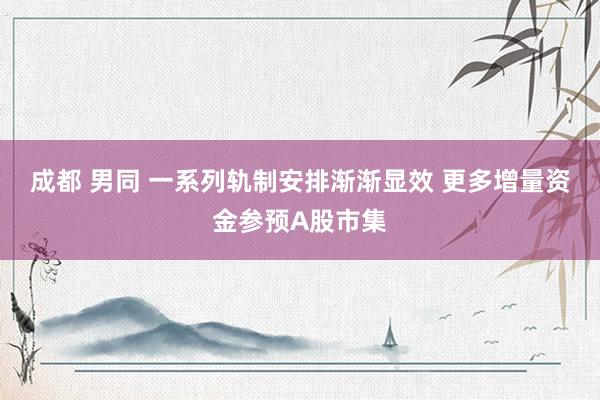 成都 男同 一系列轨制安排渐渐显效 更多增量资金参预A股市集