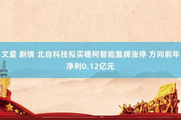 文爱 剧情 北自科技拟买穗柯智能复牌涨停 方向前年净利0.12亿元