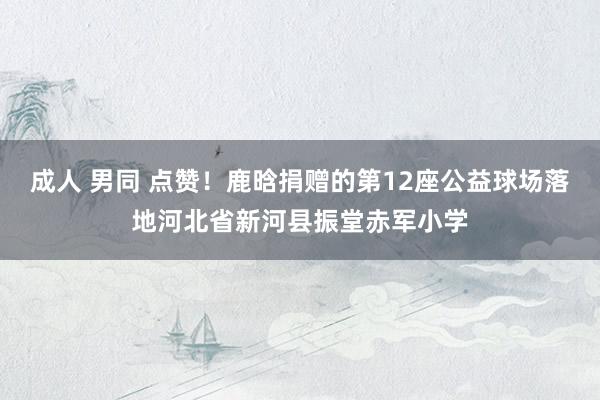 成人 男同 点赞！鹿晗捐赠的第12座公益球场落地河北省新河县振堂赤军小学