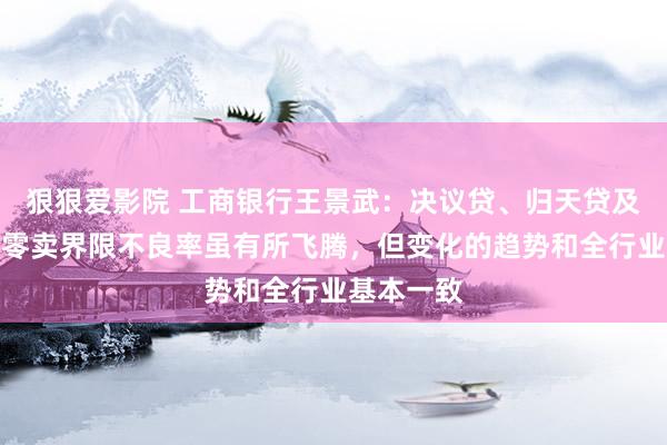 狠狠爱影院 工商银行王景武：决议贷、归天贷及信用卡等零卖界限不良率虽有所飞腾，但变化的趋势和全行业基本一致