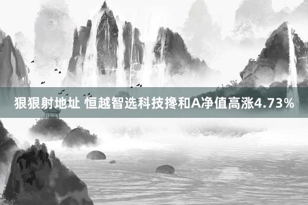 狠狠射地址 恒越智选科技搀和A净值高涨4.73%