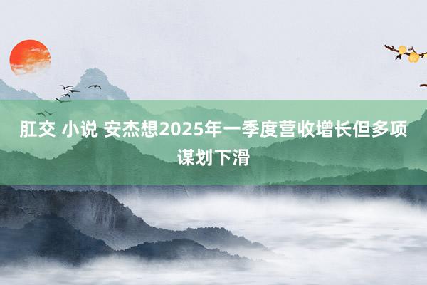 肛交 小说 安杰想2025年一季度营收增长但多项谋划下滑