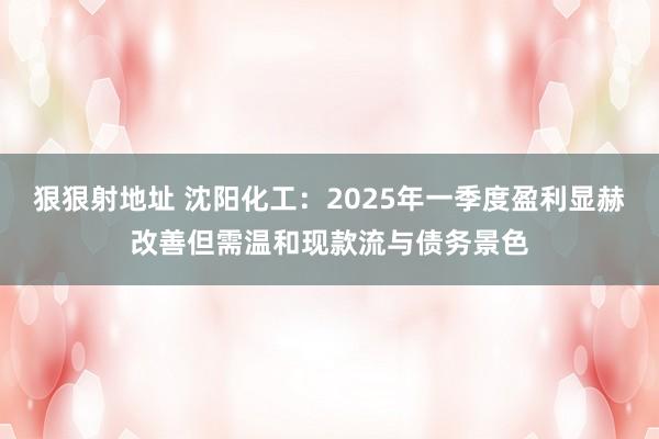狠狠射地址 沈阳化工：2025年一季度盈利显赫改善但需温和现款流与债务景色