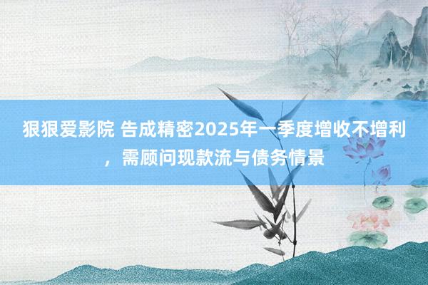 狠狠爱影院 告成精密2025年一季度增收不增利，需顾问现款流与债务情景