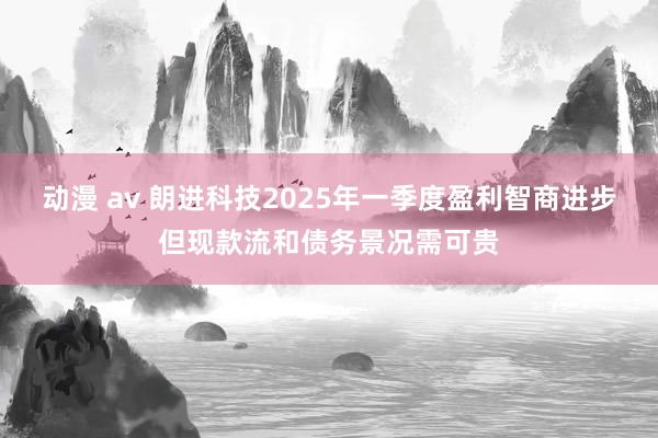 动漫 av 朗进科技2025年一季度盈利智商进步但现款流和债务景况需可贵