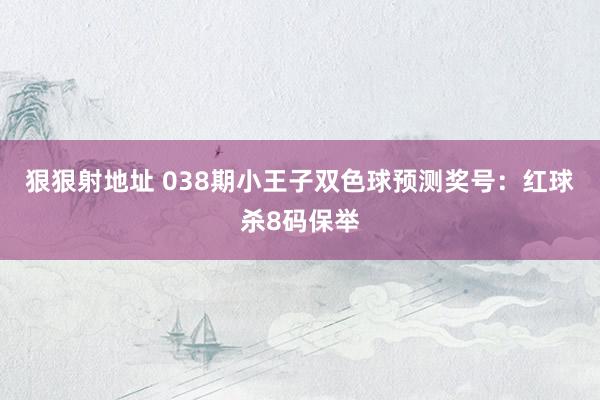 狠狠射地址 038期小王子双色球预测奖号：红球杀8码保举